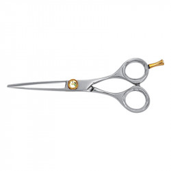 Hair Dressing Scissors