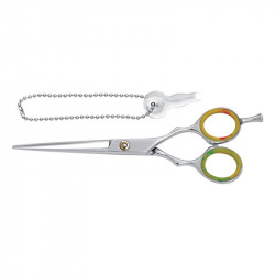 Hair Dressing Scissors